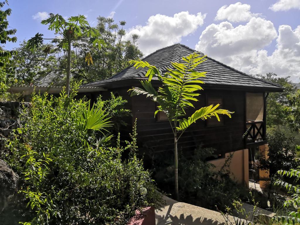 una pequeña casa con una palmera delante de ella en Rotten Hill Retreat Cottages, en English Harbour Town