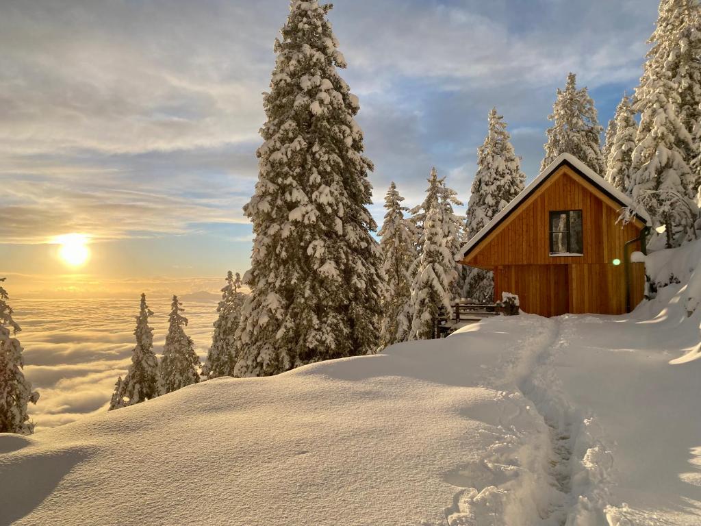 una cabaña en un bosque cubierto de nieve con árboles en Čudovita koča na samem, Gorenka, en Cerklje na Gorenjskem