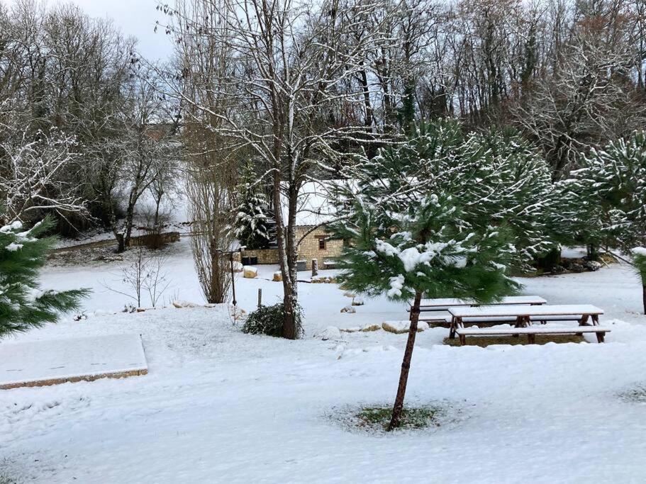a snow covered park with a bench and a tree at Gîte Le Buron in Chazelles