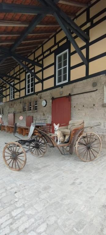 Fotografie z fotogalerie ubytování Hotel Henriettenhof Weimarer Land, Weimar-Bad Berka v destinaci Bad Berka