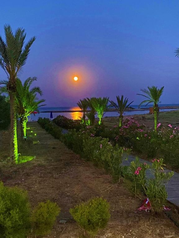 a sunset on the beach with palm trees and the ocean at Paradise Karpaz Hotel & Restaurant in Rizokarpaso