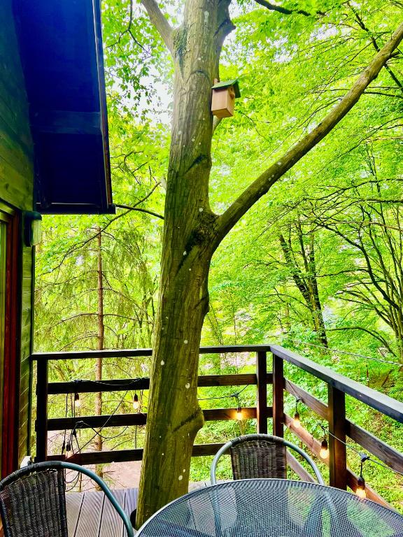 Na Skraju Lasu Domek na Drzewie & Glamping - 10