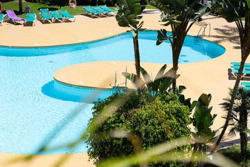 una gran piscina con sillas y palmeras en Costalita Beach Apartment, en Estepona