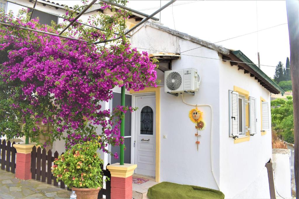 Zahrada ubytování KATINA HOUSE