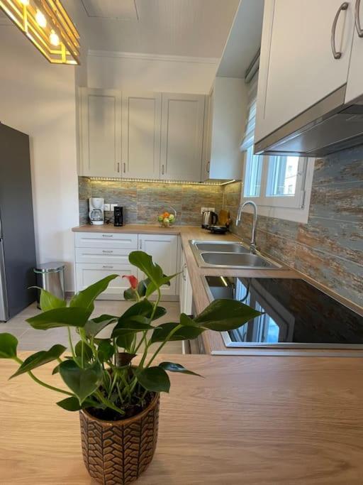 Kuchyň nebo kuchyňský kout v ubytování Nano's House Οροφοδιαμέρισμα στο κέντρο
