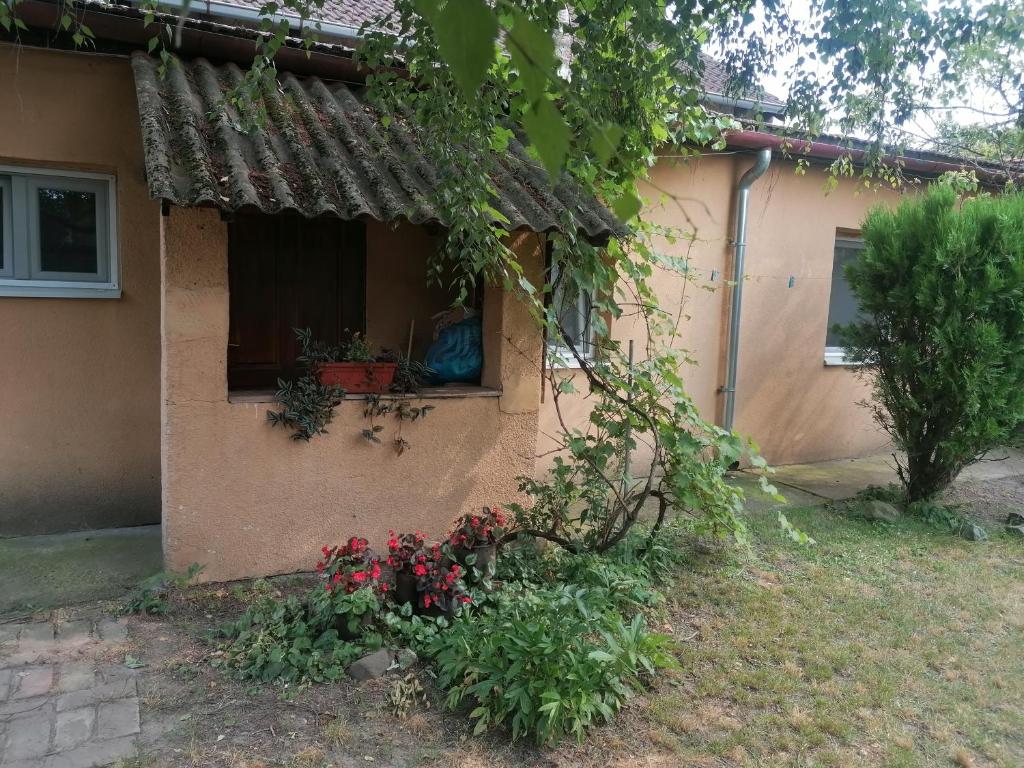 a house with a window with flowers in a yard at UMM apartman za EXIT in Petrovaradin