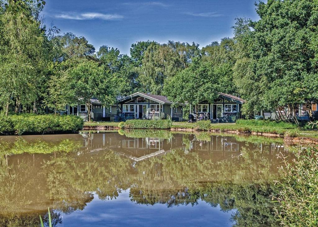 une rangée de maisons sur la rive d'un lac dans l'établissement Great Wood Lodges, à Flaxton