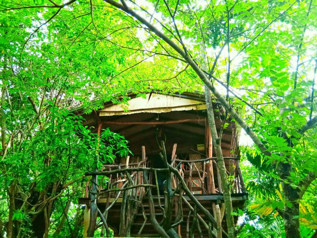 Zahrada ubytování Sigiriya Rock Gate Tree House