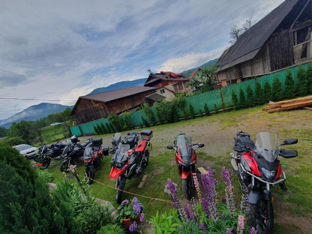 eine Gruppe von Motorrädern, die auf einem Feld geparkt sind in der Unterkunft Belvedere La Cristina in Corbeni
