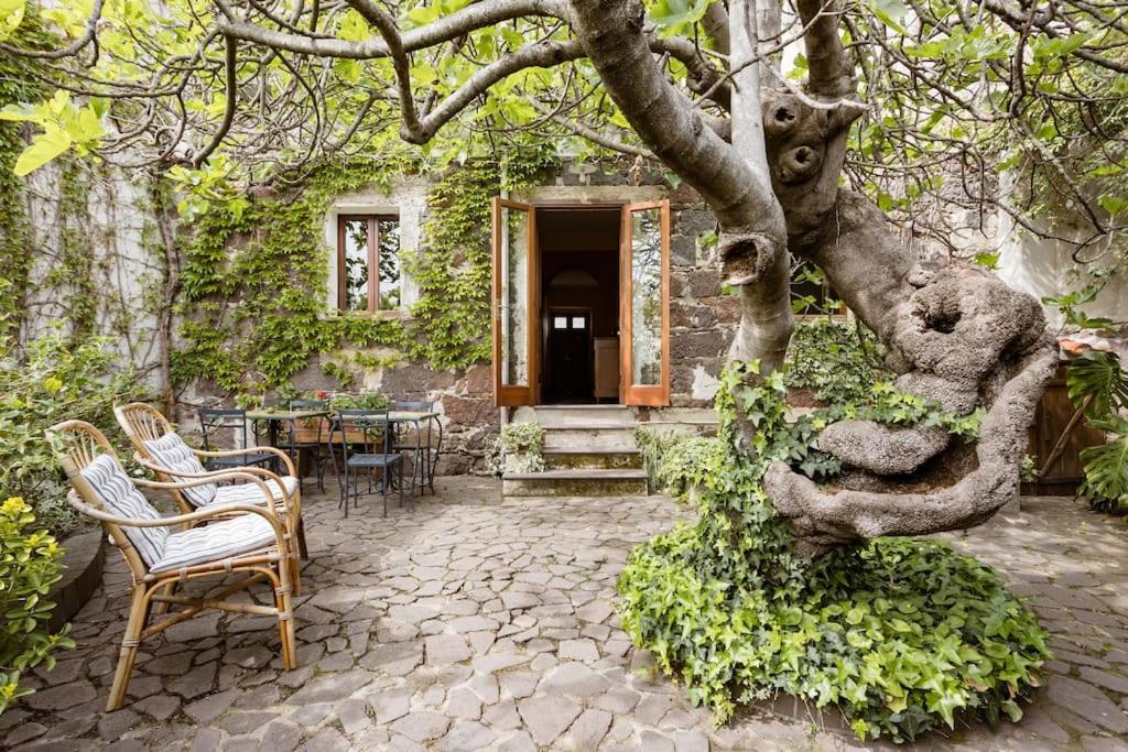 un patio con sillas y un árbol frente a una casa en I gerani rossi en Paulilatino