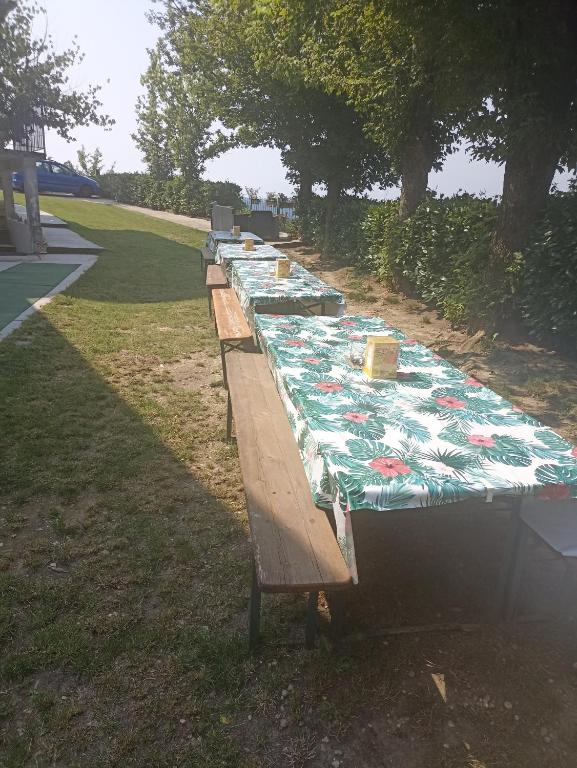 Vonkajšia záhrada v ubytovaní La Terrazza