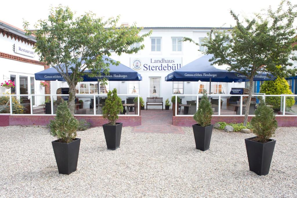 three trees in black pots in front of a store at Landhaus Sterdebüll in Bordelum