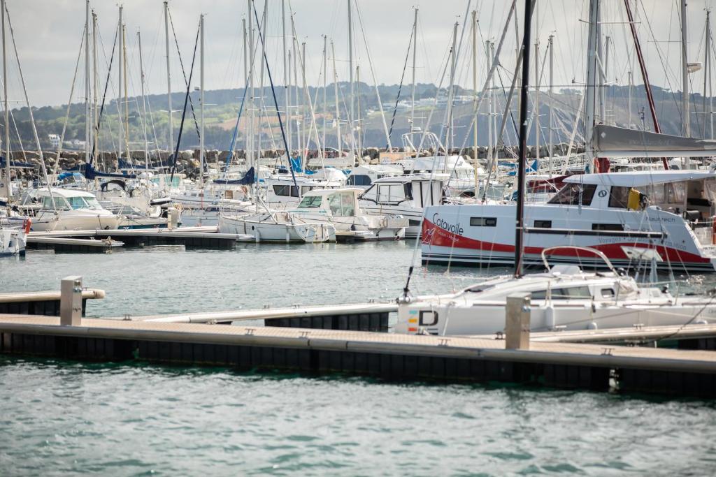 a group of boats docked at a marina at Gite de la Baie - Morgat in Crozon