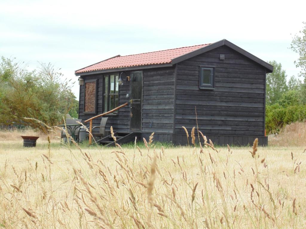 a small wooden cabin in a field of grass at The Cabin in Pakenham