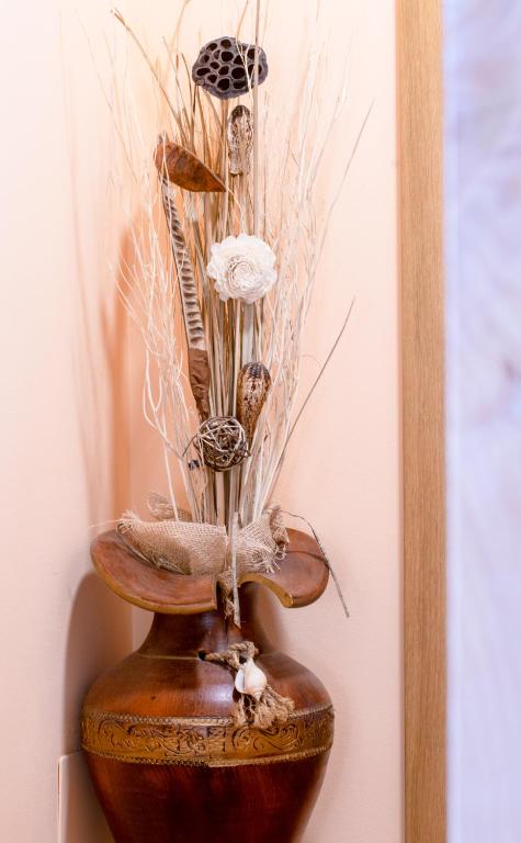 A Quinta Das Maceiras - 5