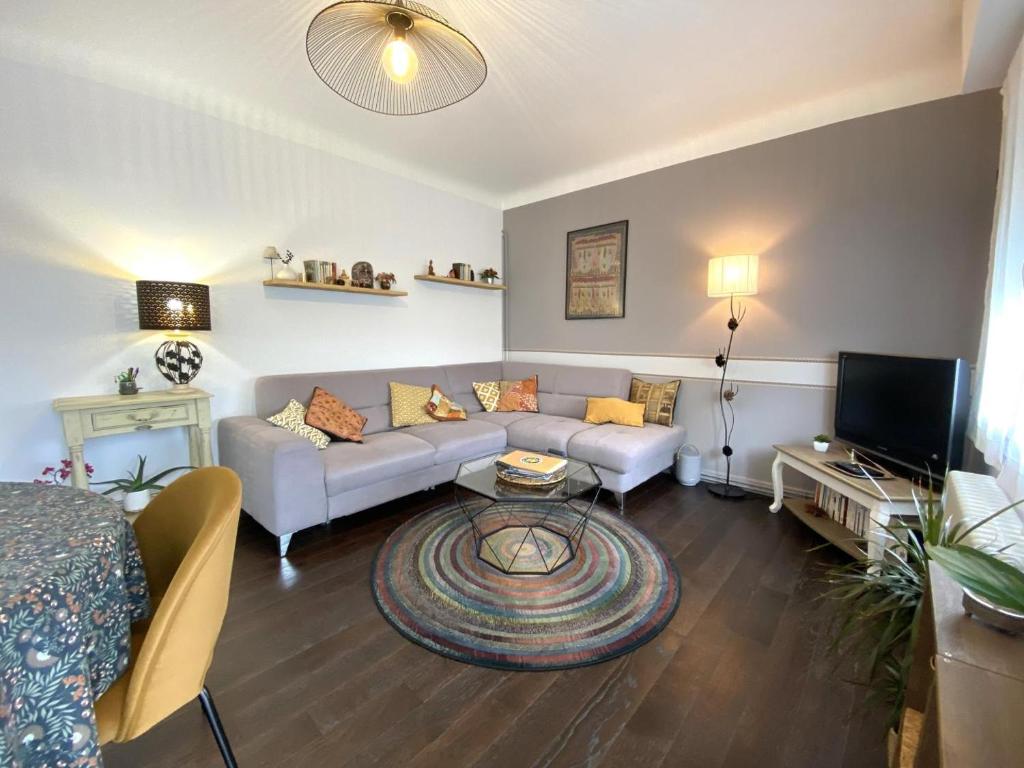 a living room with a couch and a tv at La barthe in Biarritz