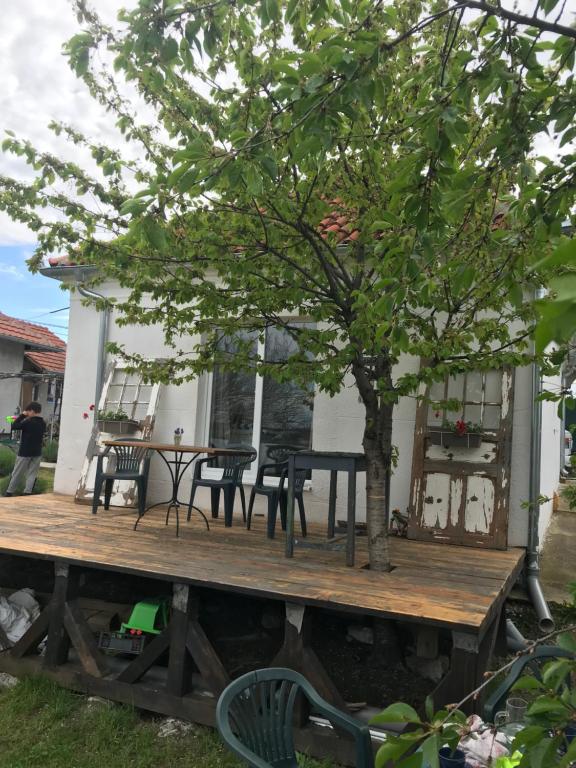 Zahrada ubytování Vila Juliana