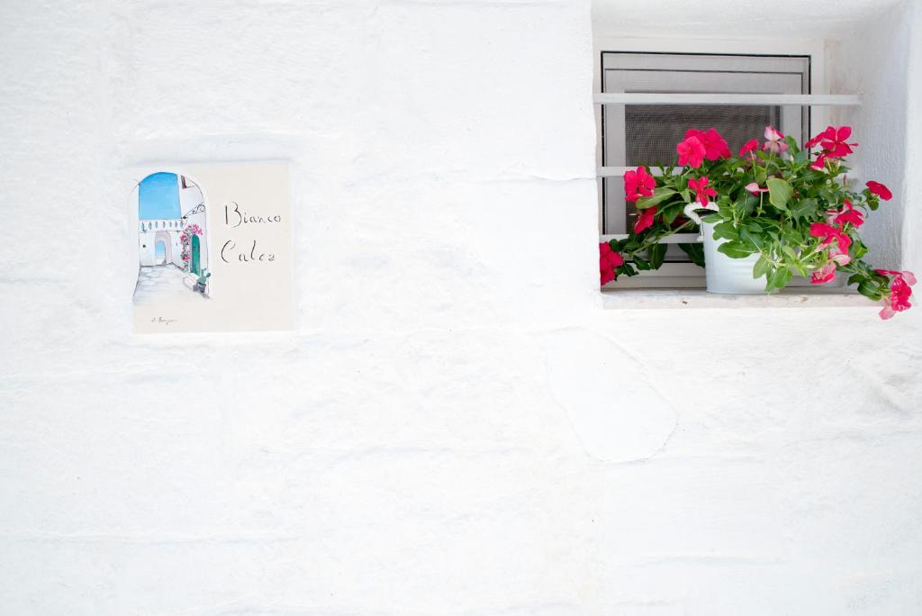 Fotografia z galérie ubytovania Bianco Calce - Ostuni v destinácii Ostuni