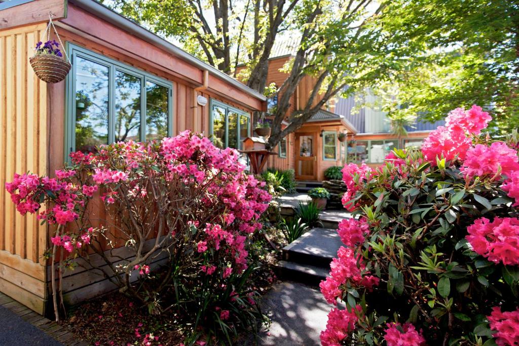 Zahrada ubytování Te Wanaka Lodge