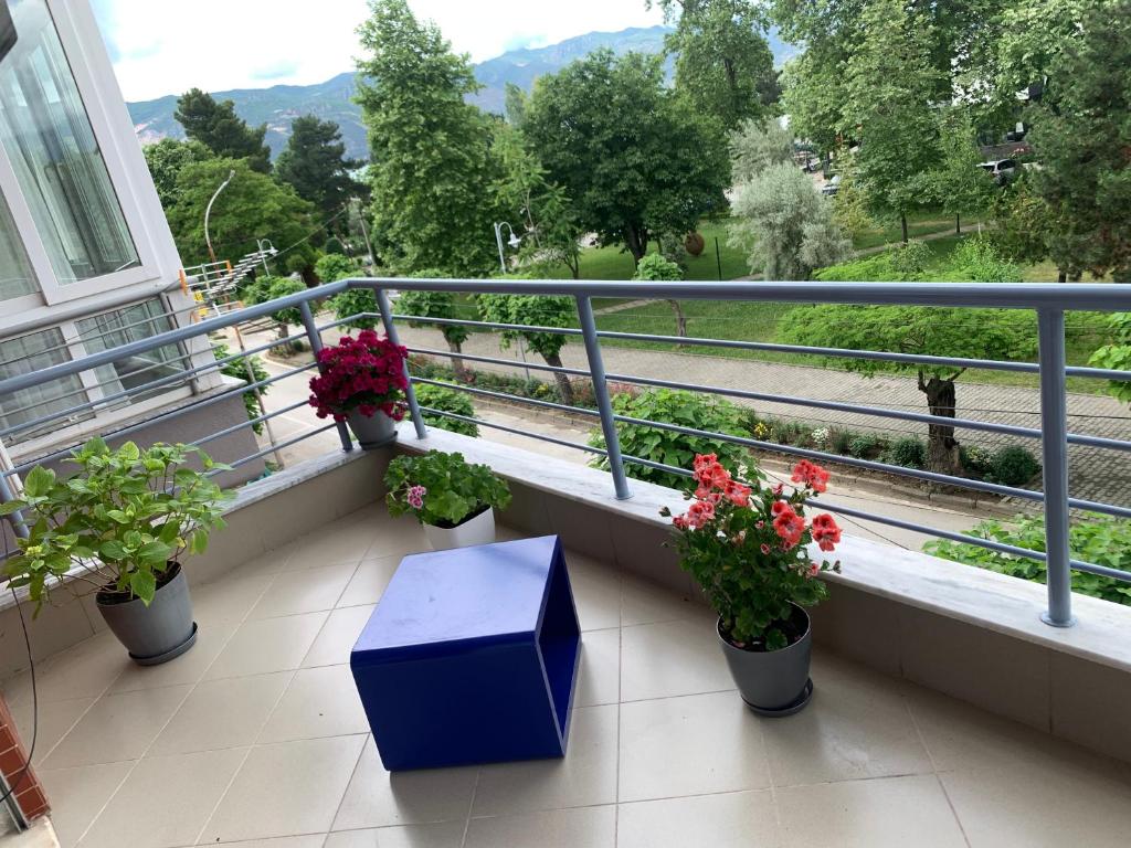 Matilde Apartment - Image 1