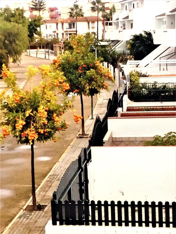 La Antilla-Islantilla-Planta Baja de Vivienda para 7 PAX - Villa Met Uitzicht Op De Tuin