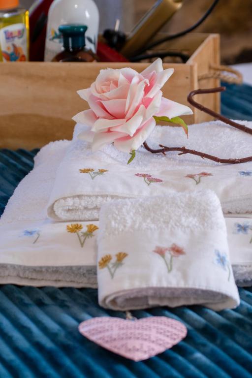 A Quinta Das Maceiras - 15