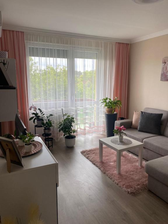 a living room with a couch and a table at Sóstó Forest Apartman in Nyíregyháza