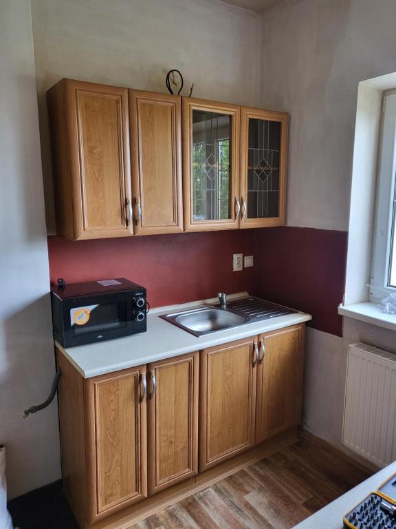Kuchyň nebo kuchyňský kout v ubytování Apartmán U Radka