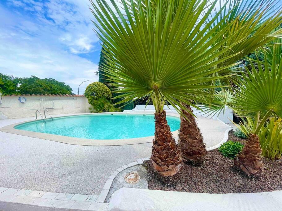 un palmier à côté d'une piscine dans l'établissement Maison de vacances vue mer, à La Garonnette-Plage