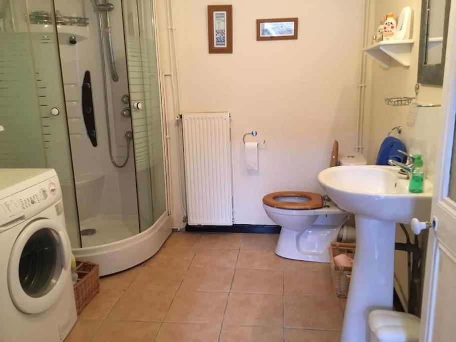 a bathroom with a toilet and a sink and a washing machine at Lovely French Farmhouse with Private Swimming Pool in Bourganeuf