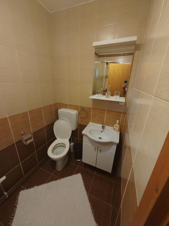 Kúpeľňa v ubytovaní Stari mlin