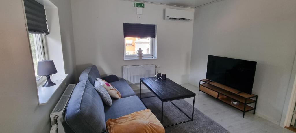 TV a/nebo společenská místnost v ubytování Villa Elme