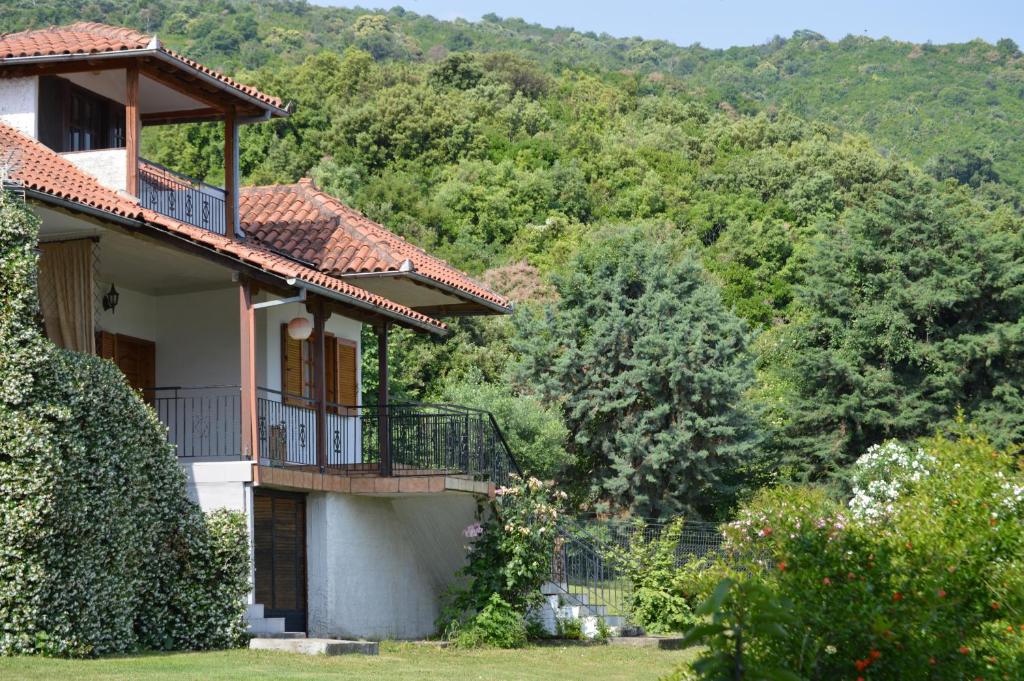 Příroda nedaleko apartmánu