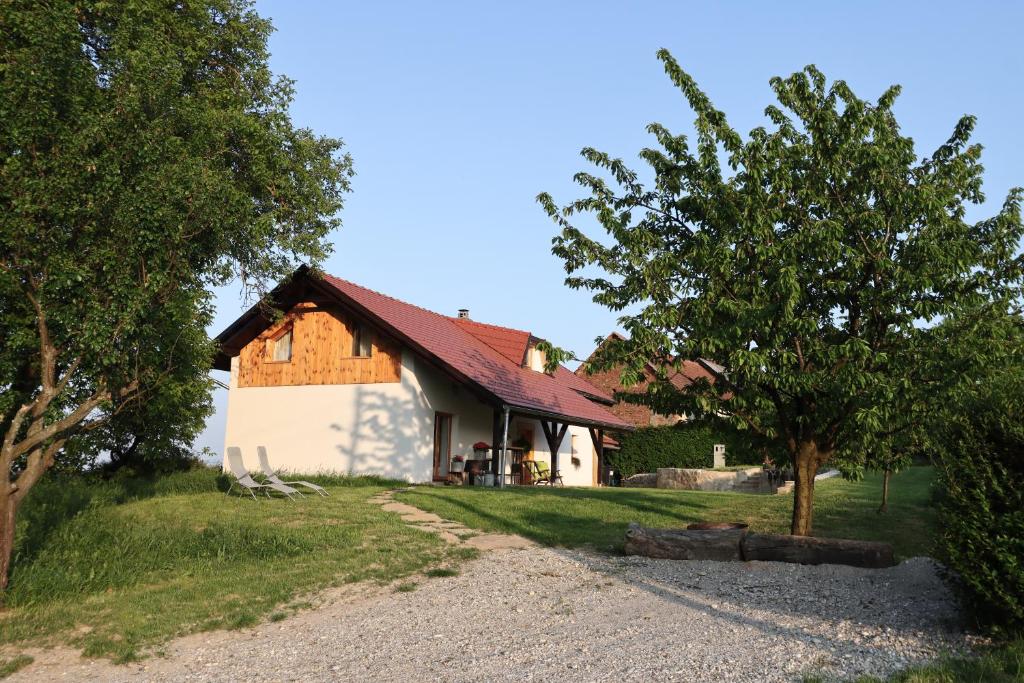 a house with a tree and a gravel driveway at Hiška pod Klumpo in Ormoz