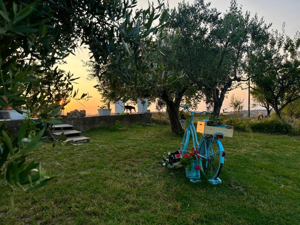 Zahrada ubytování La Collina in una Stanza - Atessa