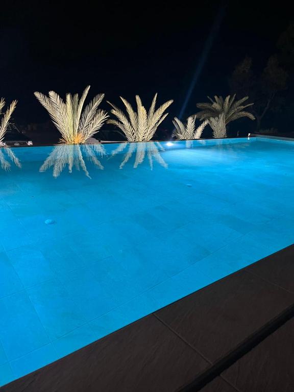 a pool at night with palm trees in the background at Elafonisi Village in Elafonisi