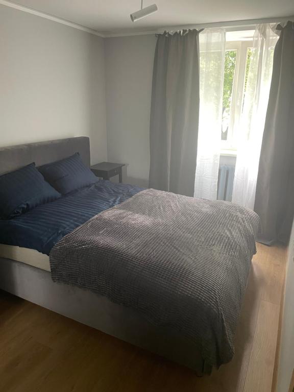 a bedroom with a bed and a window with curtains at Lasma’s hub in Jelgava