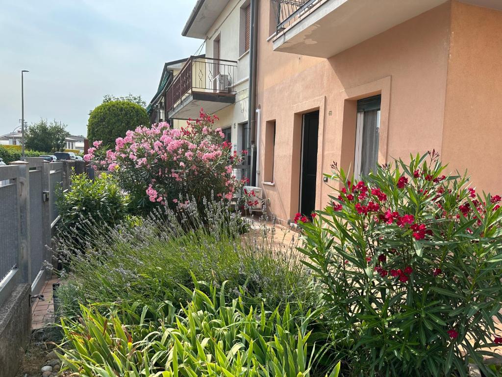 ogród przed budynkiem z różowymi kwiatami w obiekcie Casa Colombina w Weronie