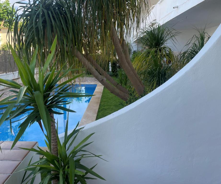 a white fence with palm trees and a swimming pool at Casa Olé in Jávea