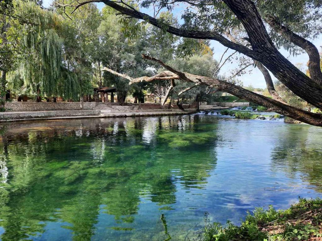 Naturlandskabet i nærheden af lejligheden