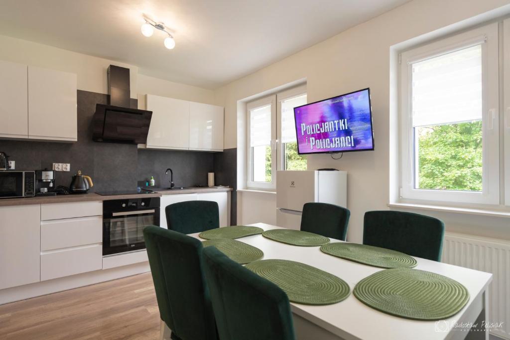 Kuchyň nebo kuchyňský kout v ubytování Willa Rosa-apartamenty z prywatną sauną