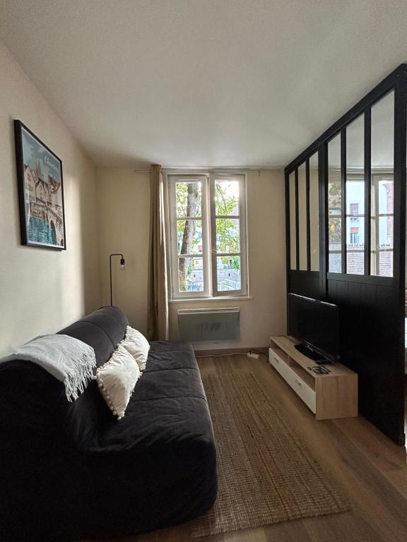 1 dormitorio con 1 cama grande y TV de pantalla plana en Appartement bords de l’Eure charmant studio, en Chartres