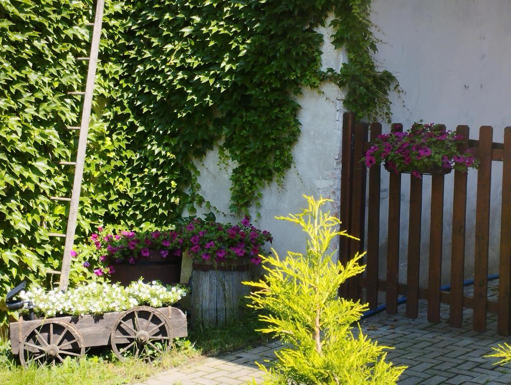Zahrada ubytování Penzion Restaurace u Helferů