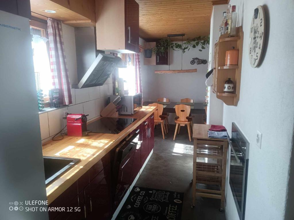 uma cozinha com um lavatório e uma bancada em Haldi Apartment em Klosters Serneus