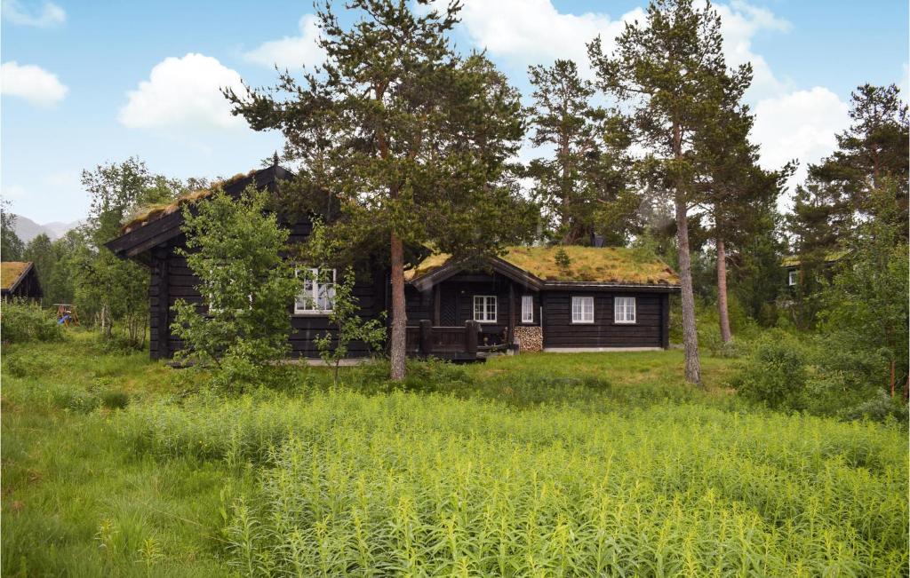 eine alte Hütte im Wald mit Grasdach in der Unterkunft Awesome Home In Rauland With House A Panoramic View in Rauland