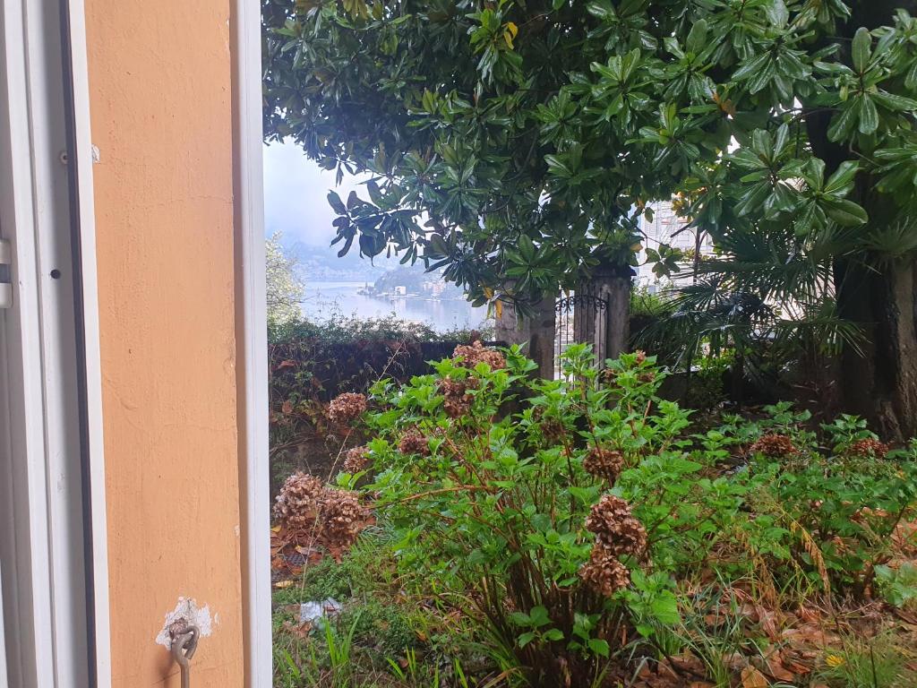 Central Lugano Family Flat 2 Bedrooms Lake view - Resim 31