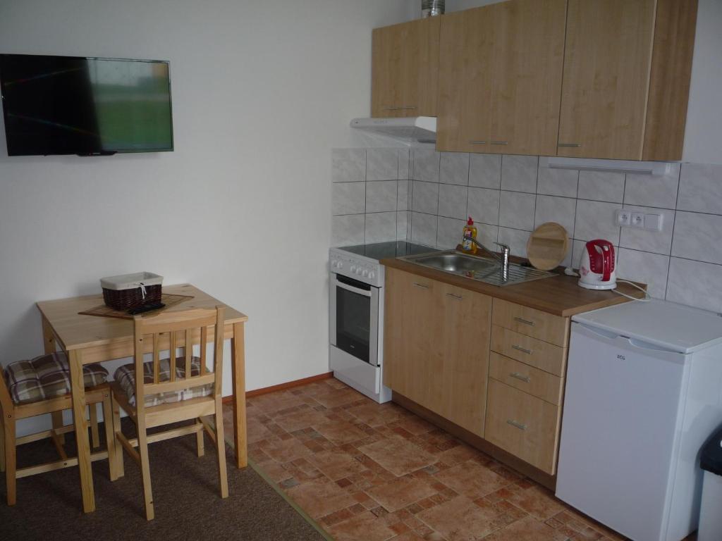 Kuchyň nebo kuchyňský kout v ubytování Apartmány Na Výtoni