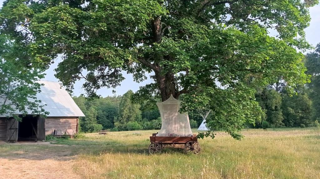 Ein alter Karren sitzt auf einem Feld unter einem Baum in der Unterkunft Inn Kunai in Anykščiai