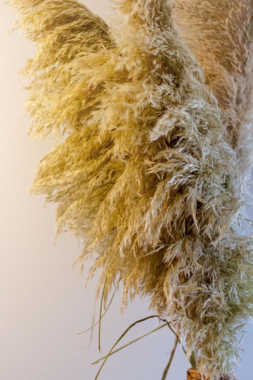 Best of Central Christchurch 2 bed 2 bath - Resim 37