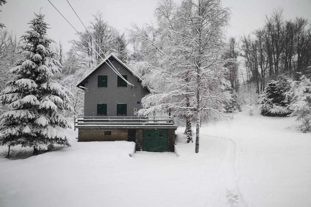 a house covered in snow in front of a yard at Holiday house with a parking space Fuzine, Gorski kotar - 20518 in Lokve